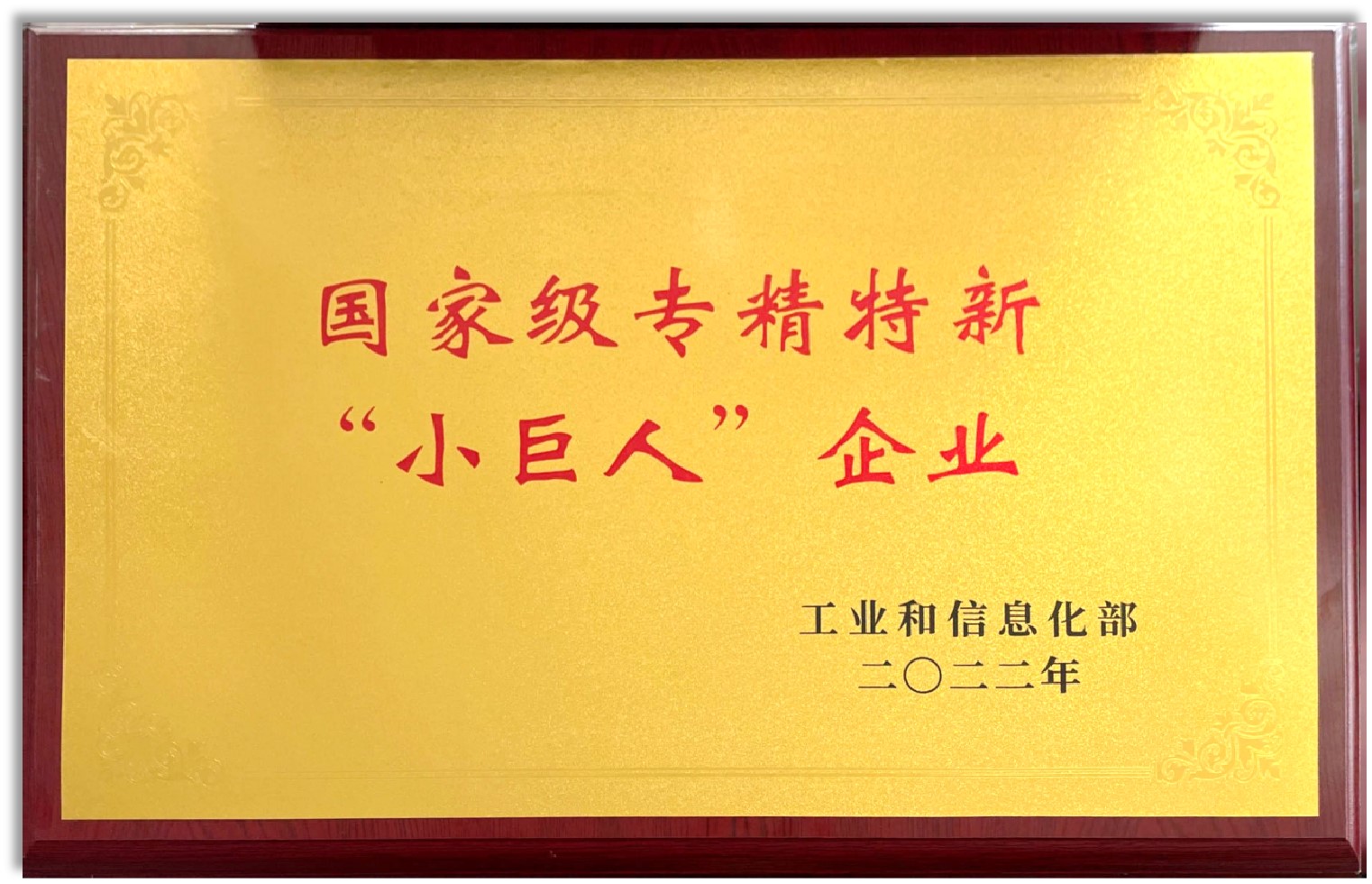 专精特新“小巨人”企业